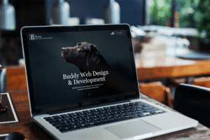 Buddy Web Design & Development website on laptop