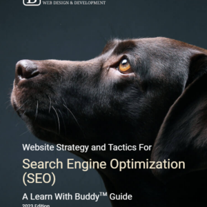 Buddy SEO Guide cover