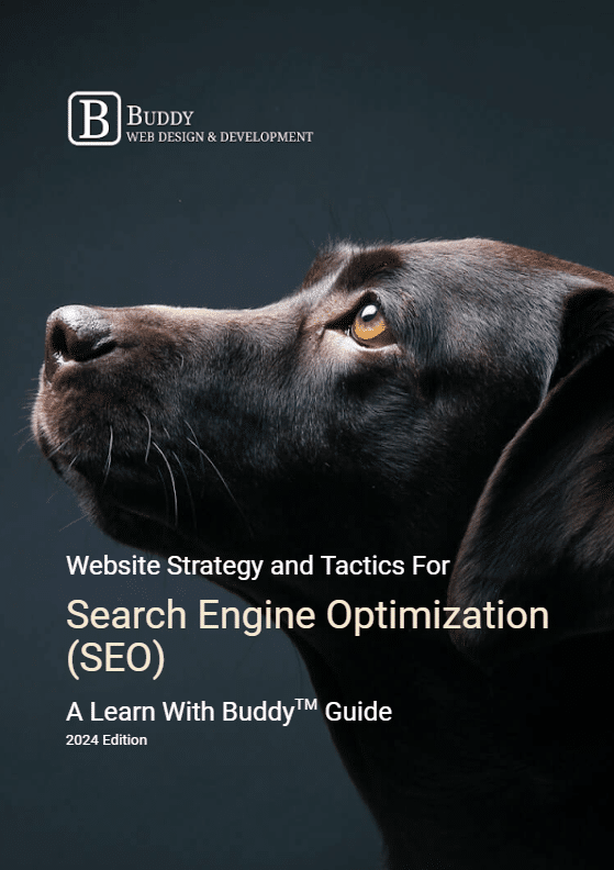 Website Strategy and Tactics For Search Engine Optimization (SEO) - 2024 Edition cover